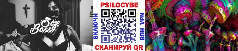 Купить закладки  Берёзовский  Псилоцибиновые грибы GOLDEN TEACHER 